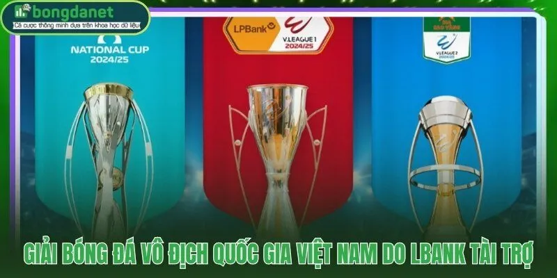 V-League và 14 câu lạc bộ tranh tài suốt 26 vòng đấu mỗi mùa