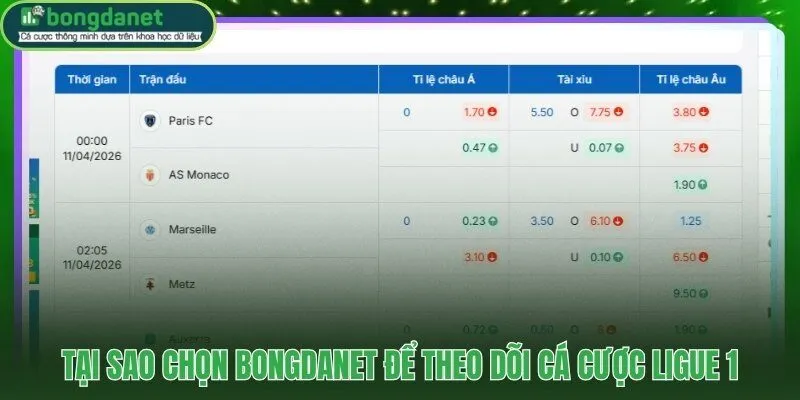 BongdaNET trung tâm dữ liệu kèo cập nhật theo thời gian thực
