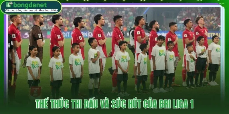 18 câu lạc bộ tranh tài 34 vòng với văn hóa cổ vũ bùng cháy